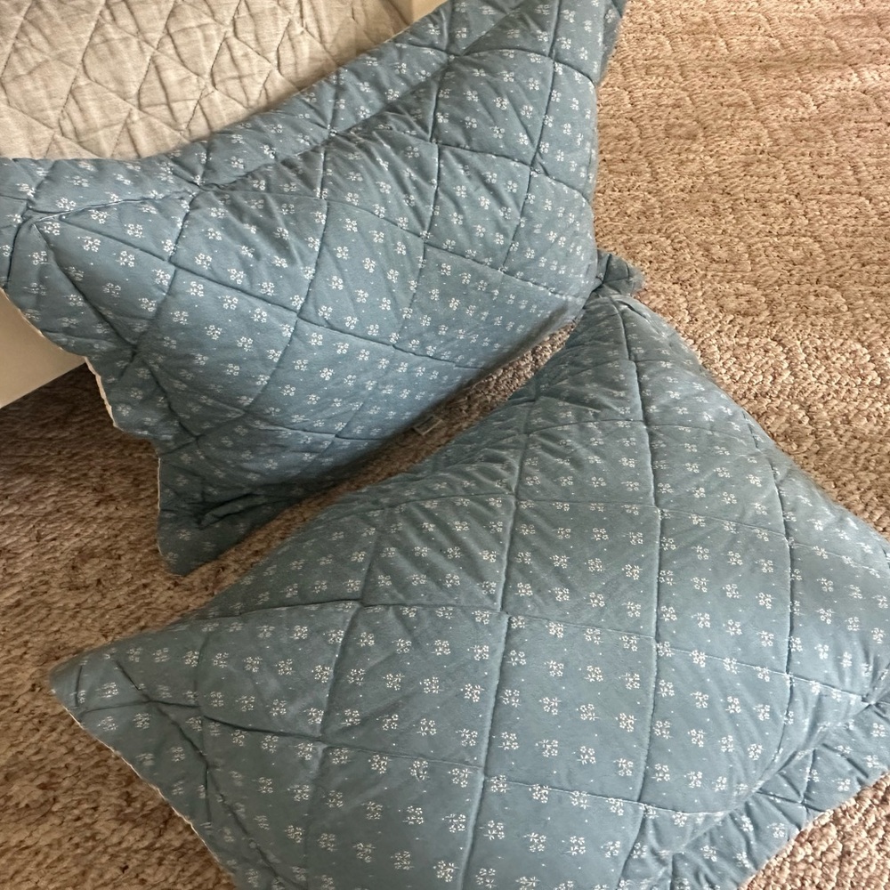 Set of 2 Burlington Laura Ashley Blue Floral Pillow Shams